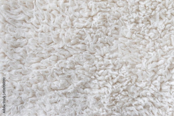 Obraz 白いボアフリース