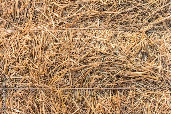 Fototapeta straw texture background