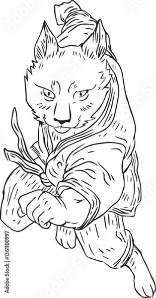 Fototapeta cat fighter 