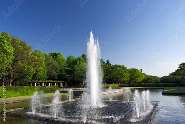 Obraz 上野公園の大噴水
