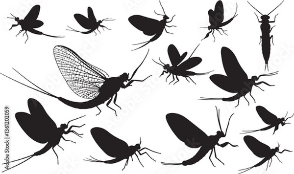 Obraz Mayfly Silhouette on White Background