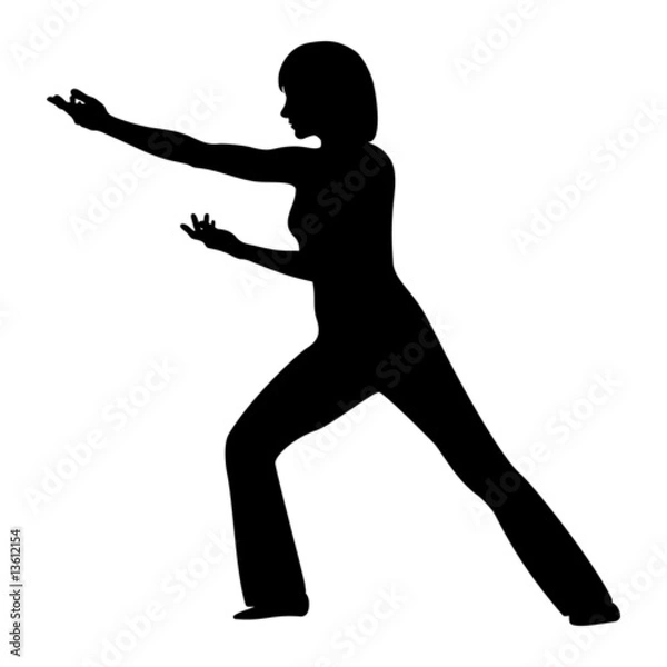 Obraz Tai Chi