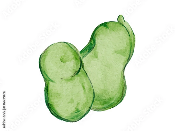 Obraz 水彩で描いた春野菜のそら豆料理食材の水彩ベクターイラスト素材