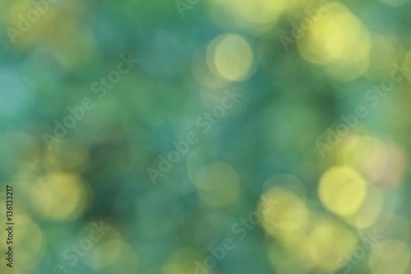 Obraz green blurred background