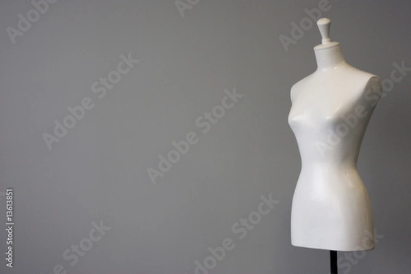 Fototapeta manichino