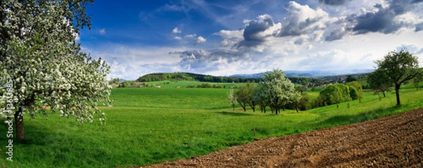 Obraz Spring landscape - green fields, the blue sky