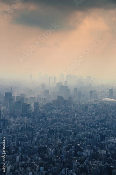 Obraz Tokyo City Skyline