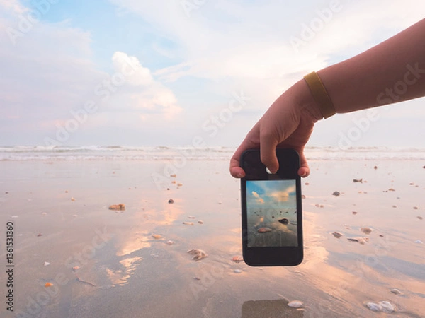 Obraz Holding smartphone and taking photo of the beach at sunset from low angle.