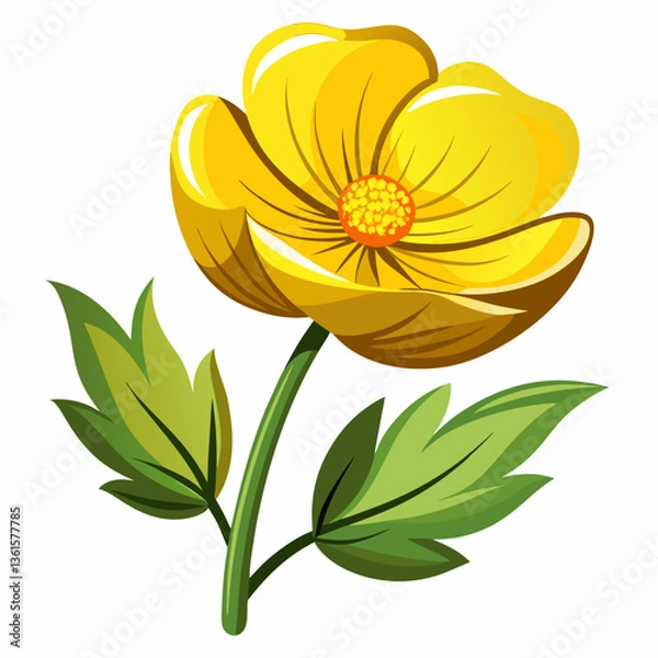 Fototapeta Elegant buttercup flower vector design for your digital projects.