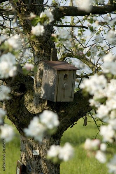 Fototapeta wohnidylle im grünen