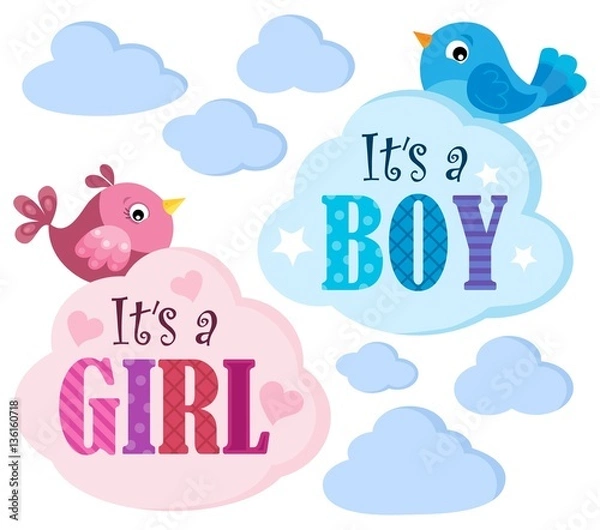 Obraz Is it a girl or boy theme 6