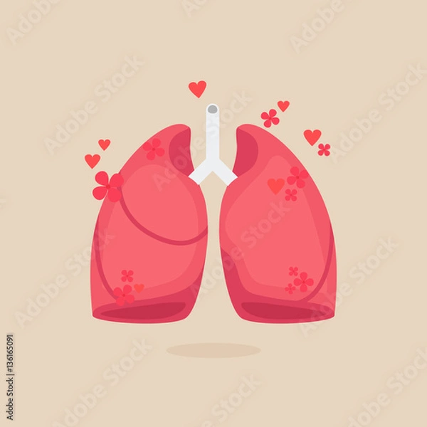 Fototapeta Lungs vector illustration
