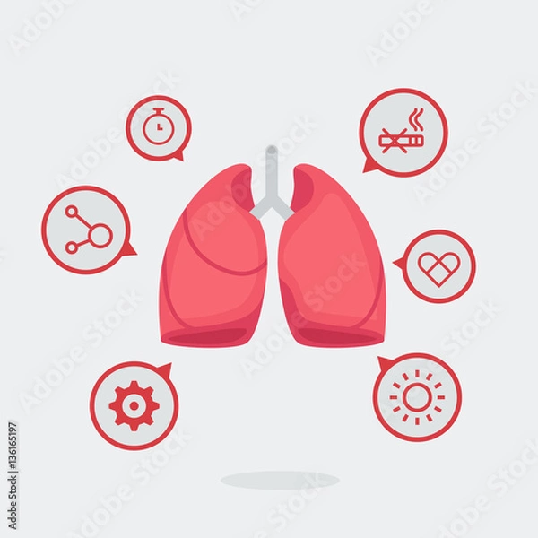 Obraz Lungs vector illustration