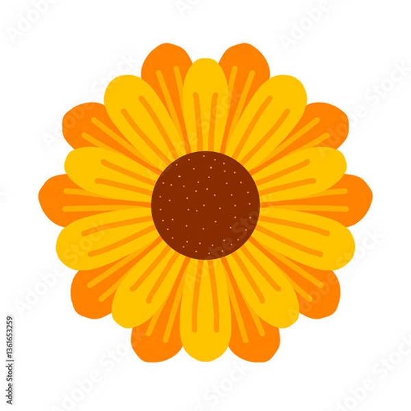 Fototapeta sunflower on a white background