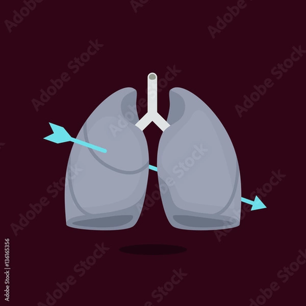 Fototapeta Lungs vector illustration