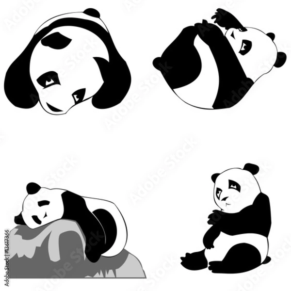 Obraz panda