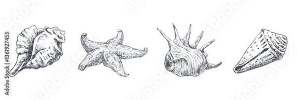 Fototapeta Outline texture hand drawings of seashells, starfish, vector illustration isolated on white