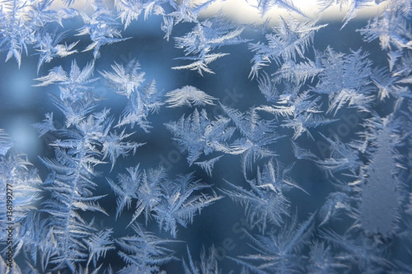 Obraz Frozen window