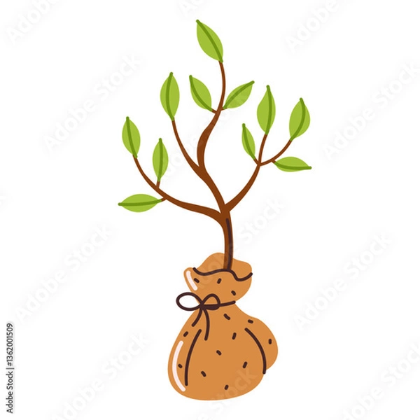 Fototapeta A sapling of a young tree in a bag. The concept of spring planting. Vector illustration in a flat style, isolated on a white background