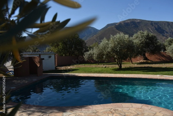 Fototapeta swimming pool in the morning