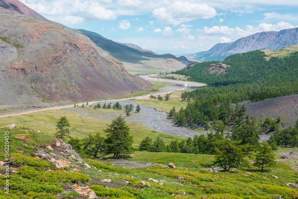 Fototapeta Scenic vast sunny top view from pass with rich green plants and coniferous trees to wide valley with long mountain river to horizon. Sunlit vivid lush alpine flora. Creek flows into river in sunlight.