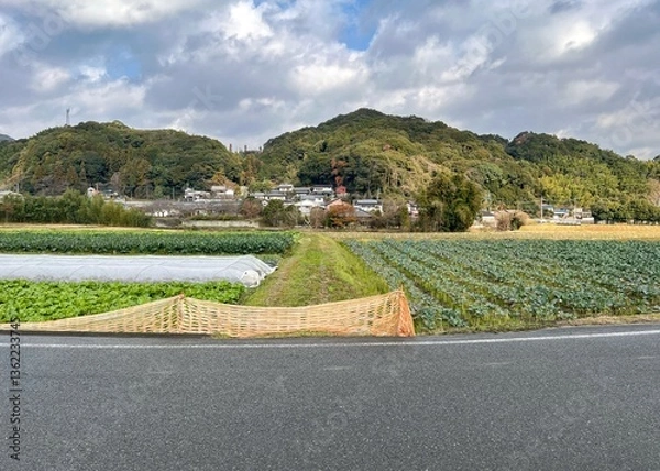 Obraz 日本の農村の風景