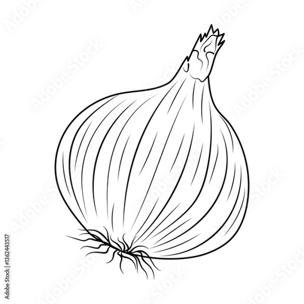 Fototapeta A whole onion, highlighted on a white background, in the style of line art. Black and white vector illustration of a vegetable.