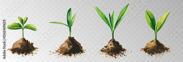 Fototapeta Watercolor PNG set of growing green plants. Infographic elements for planting, tree growth, agriculture, environmental conservation, and reforestation concepts.