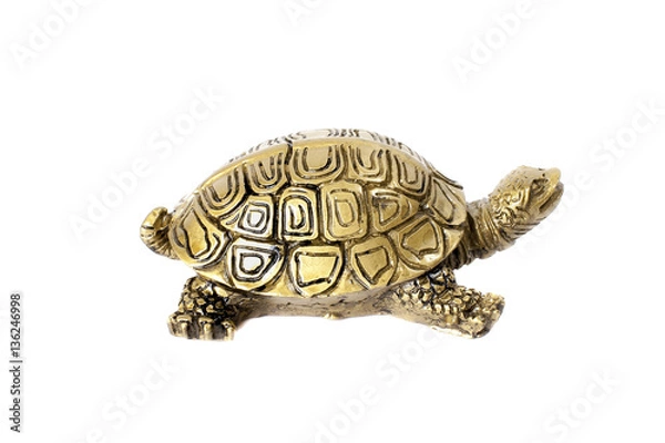 Obraz Bronze turtle isolated on white background.