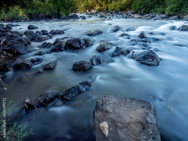 Fototapeta The Forest Stream Serenity