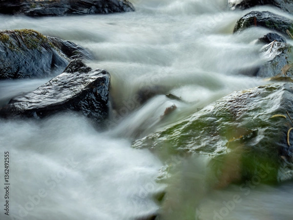 Fototapeta The Dawn Algae Stream