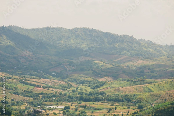 Obraz the tree view with clouds and hills