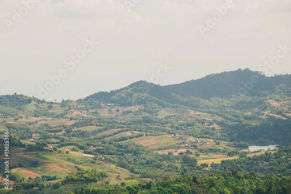 Obraz the tree view with clouds and hills