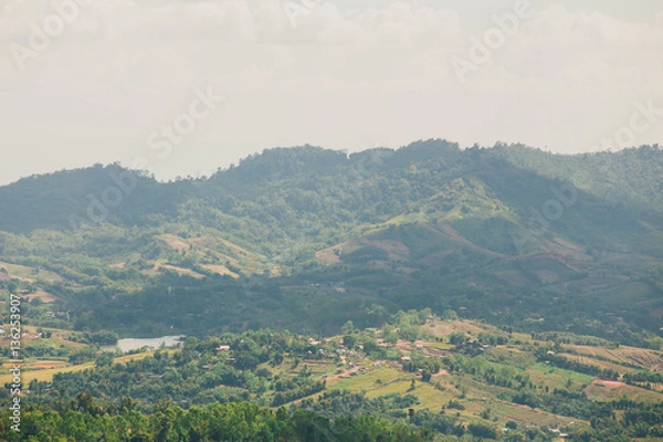 Obraz the tree view with clouds and hills