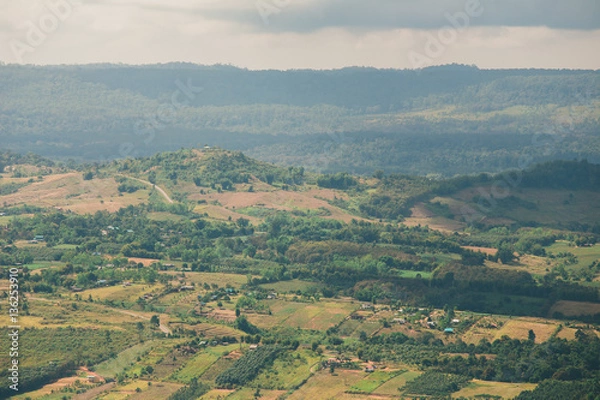Obraz the tree view with clouds and hills