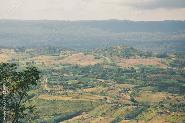 Obraz the tree view with clouds and hills