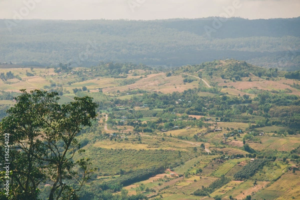Obraz the tree view with clouds and hills