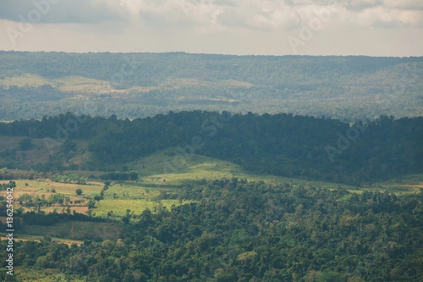 Obraz the tree view with clouds and hills