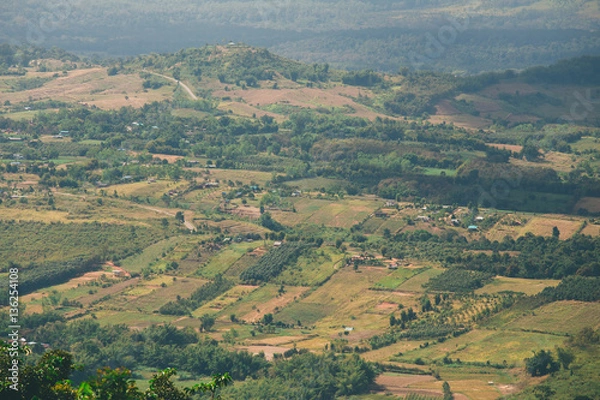 Obraz the tree view with clouds and hills
