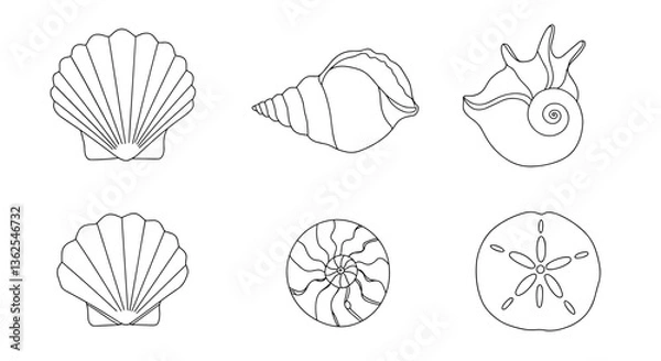 Obraz Seashells line art: scallops, spiral, and sand dollar. White background    