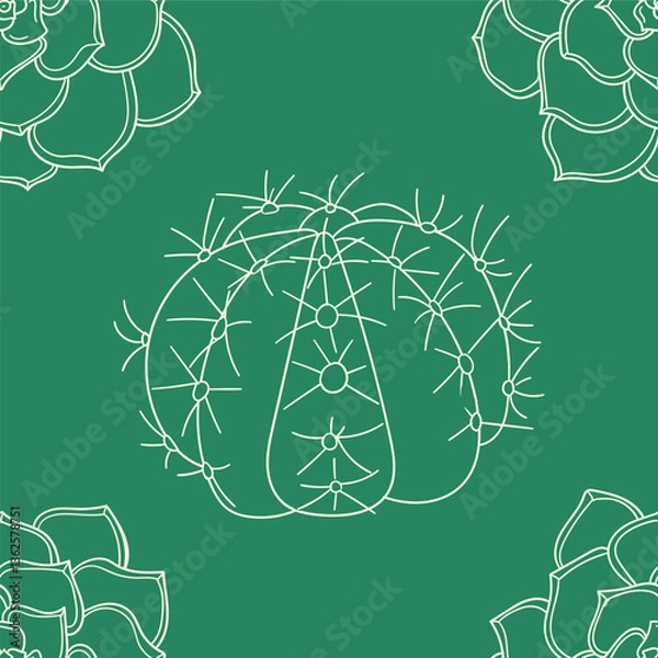 Obraz white Seamless vector Ornament To create endless pattern. hand drawn cactus and succulents outline on green background