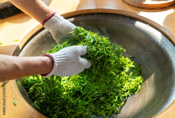 Obraz Traditional Chinese tea making techniques involve workers stir frying freshly picked green tea in iron pots