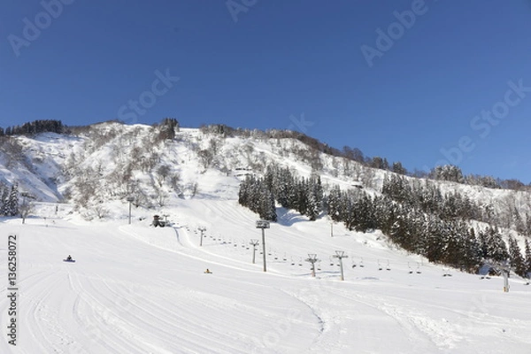 Obraz スキー場
