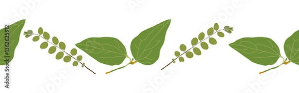 Fototapeta Leaves border on a white background. Hand-drawn illustration. Perfect for spring and summer.