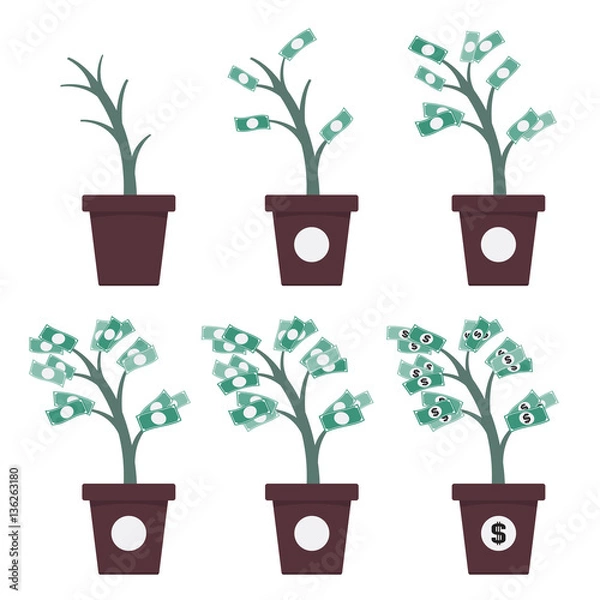 Obraz Money Tree Growth