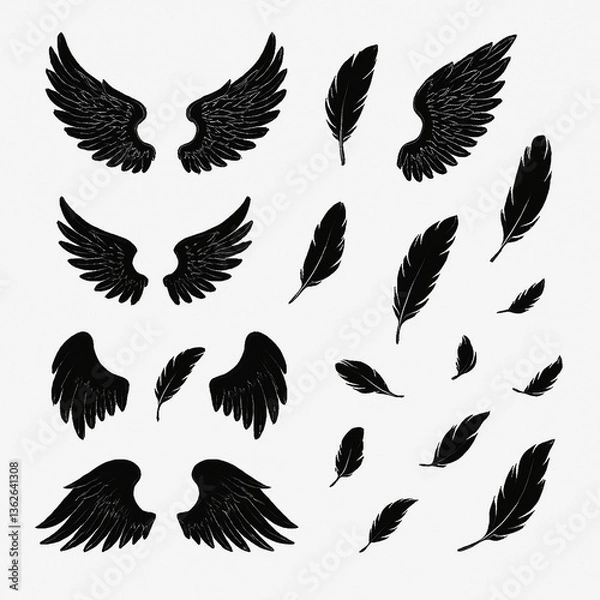 Obraz 黒翼・羽根のシルエット素材