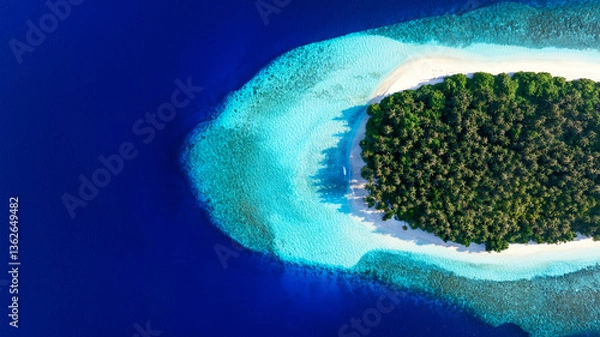 Obraz Unbewohnte Koralleninsel mit tropischer Vegetation und weißem Sandstrand aus der Vogelperspektive