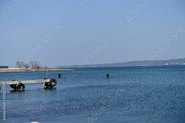 Obraz cows on the beach