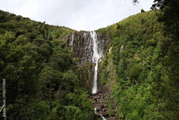 Obraz Wairere Falls is the highest waterfall in New Zealand's North Island plunges 153 metres in two steps over the Kaimai escarpment