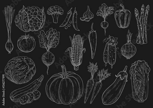 Fototapeta Vegetables vector chalk sketch isolated icons set